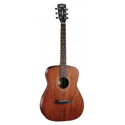 Cort AF510M
