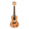 Kala Exotic Mahogany Concert