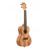Kala Exotic Mahogany Concert coté