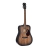 Cort Earth 60M OPTB