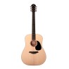 Furch Violet D-SM LRB1