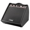 Laney DH80