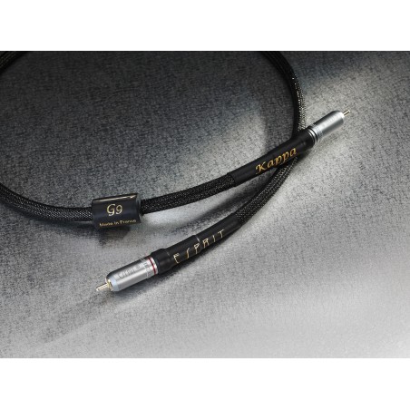 Esprit Kappa Digital SPDIF 1m