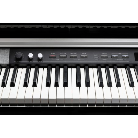 Kurzweil Cup-P1 noir
