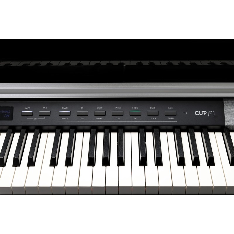 Kurzweil Cup-P1 noir