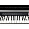 Kurzweil Cup-P1 noir