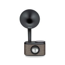 Sangean CP-100D