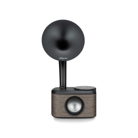 Sangean CP-100D