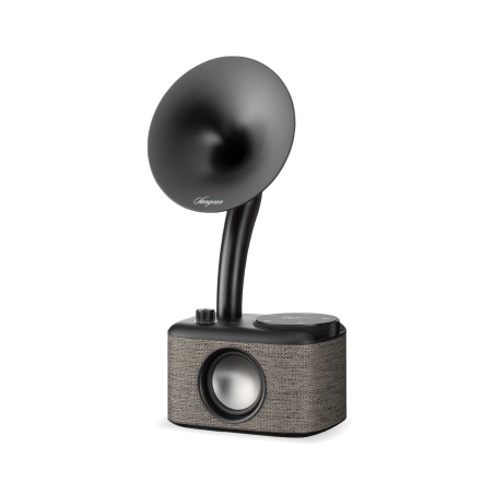 Sangean CP-100D