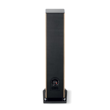 Focal Aria Evo X n°2