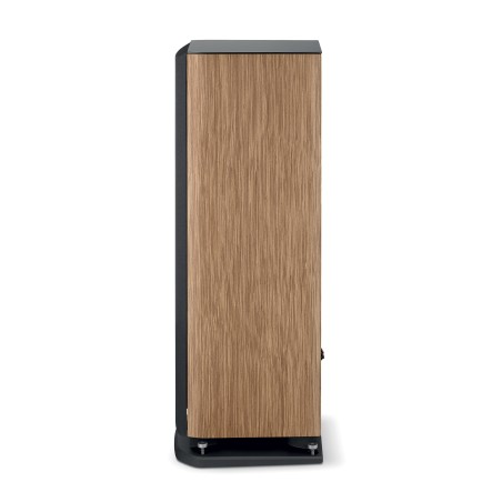 Focal Aria Evo X n°2