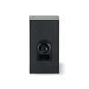 Focal Aria Evo X n°1