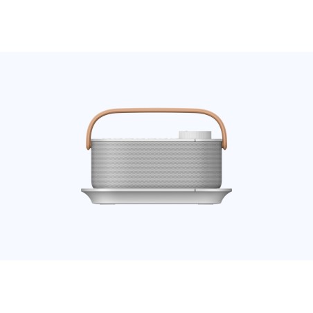 Sony LRS200