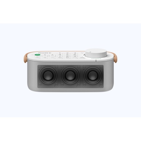 Sony LRS200