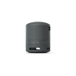 Sony SRS-XB100