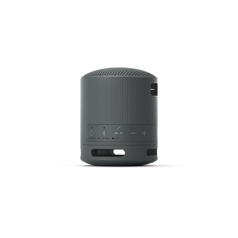 Sony SRS-XB100