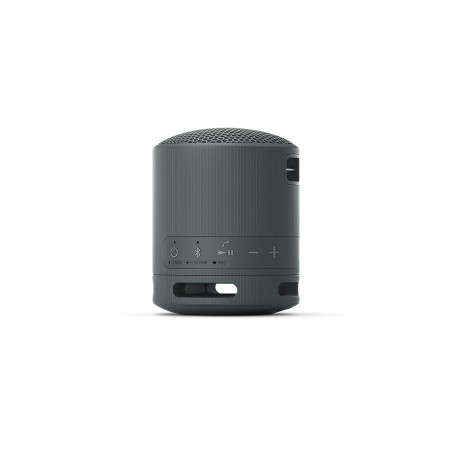 Sony SRS-XB100