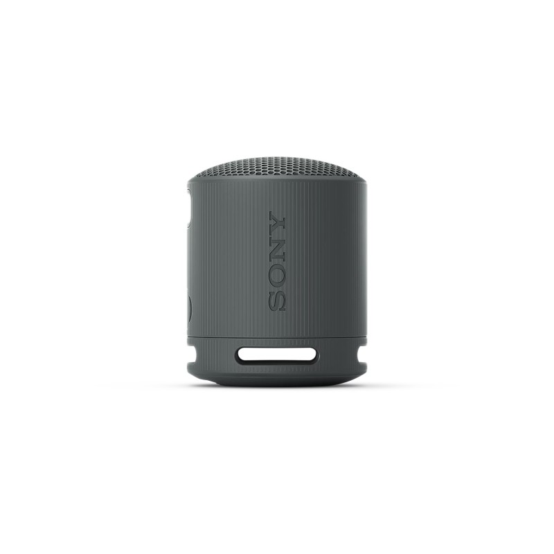Sony SRS-XB100