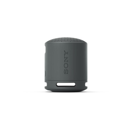 Sony SRS-XB100