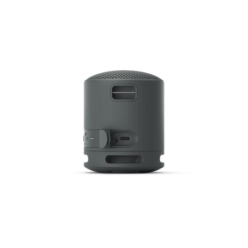 Sony SRS-XB100