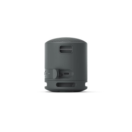 Sony SRS-XB100