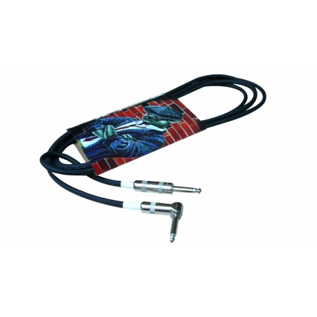 Rapco Standard 3m coudé